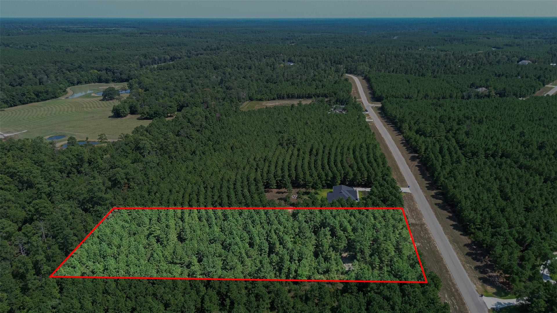 11997 High Branch Way, Willis, TX 77378