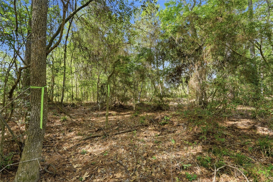 Property photo for 19909 Big Oak Drive, Montgomery, TX