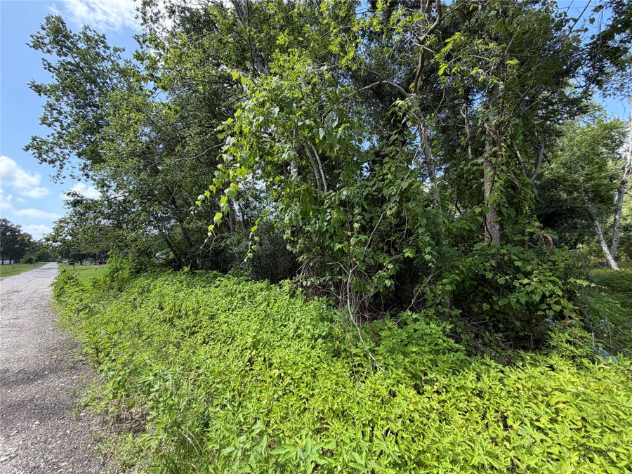 Property photo for Lot 97 Lost Forest Drive, Guy, TX