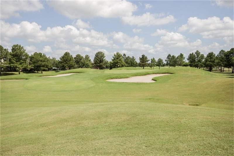 9414 Sagehampton Court, Spring, TX 77379 Fore!