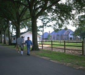 9414 Sagehampton Court, Spring, TX 77379 Equestrian center