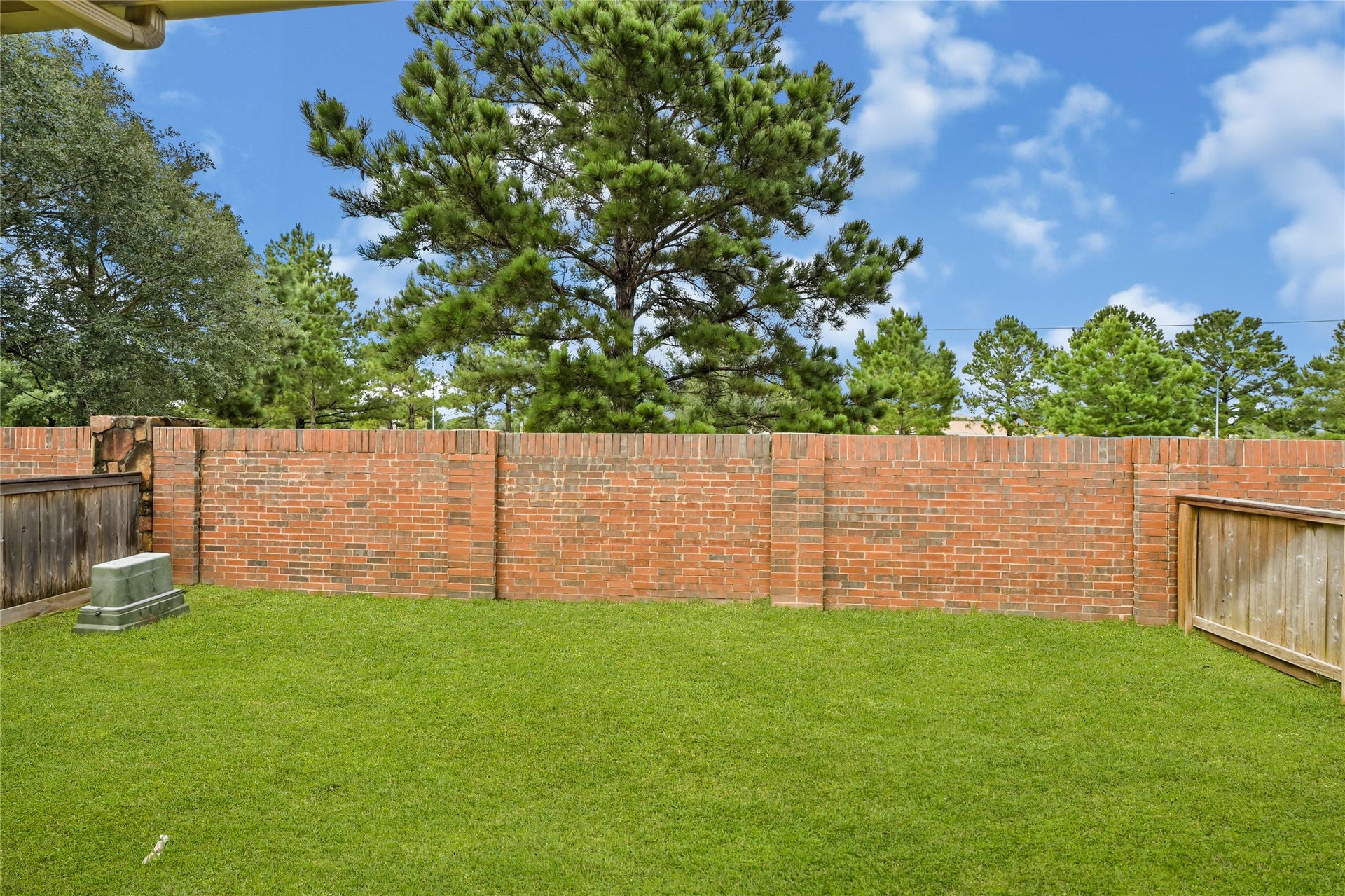 Fully fenced backyard with green space for entertaining and relaxation.