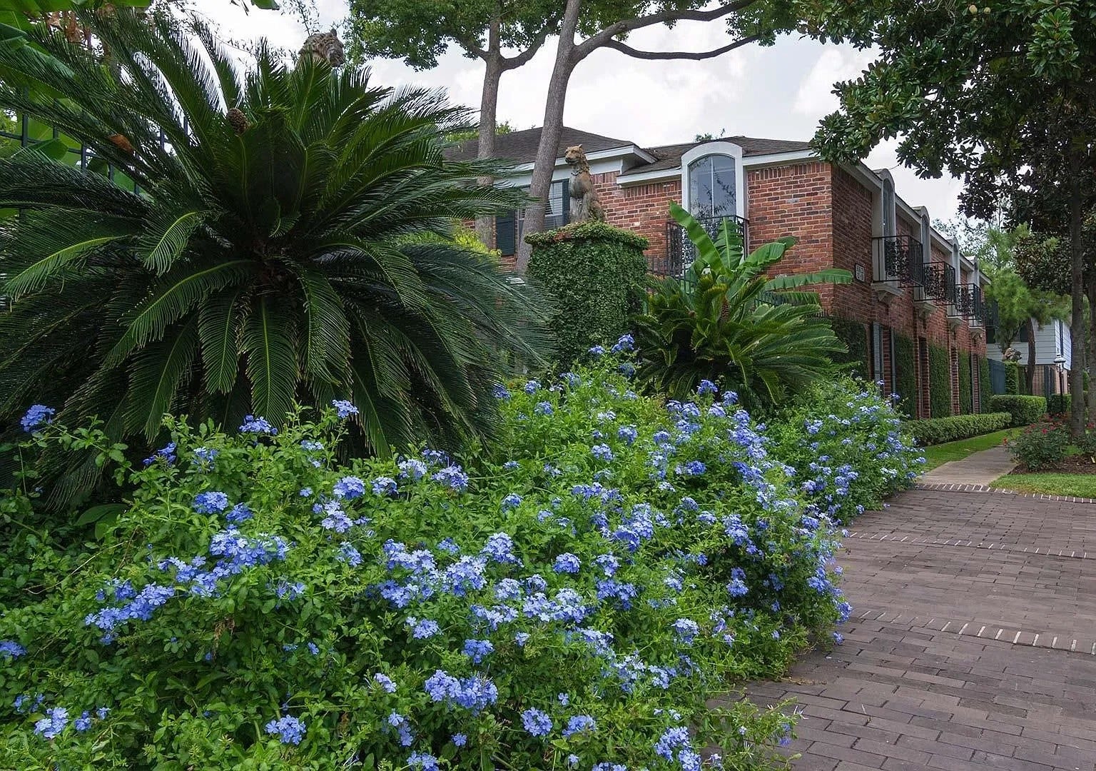 10220 Memorial Drive, #B89, Houston, TX 77024 VARIOUS UNITS SHOWN - LAYOUT MAY DIFFER - BE SURE TO WATCH THE VIRTUAL TOUR LINK ATTACHED TO THE LISTING