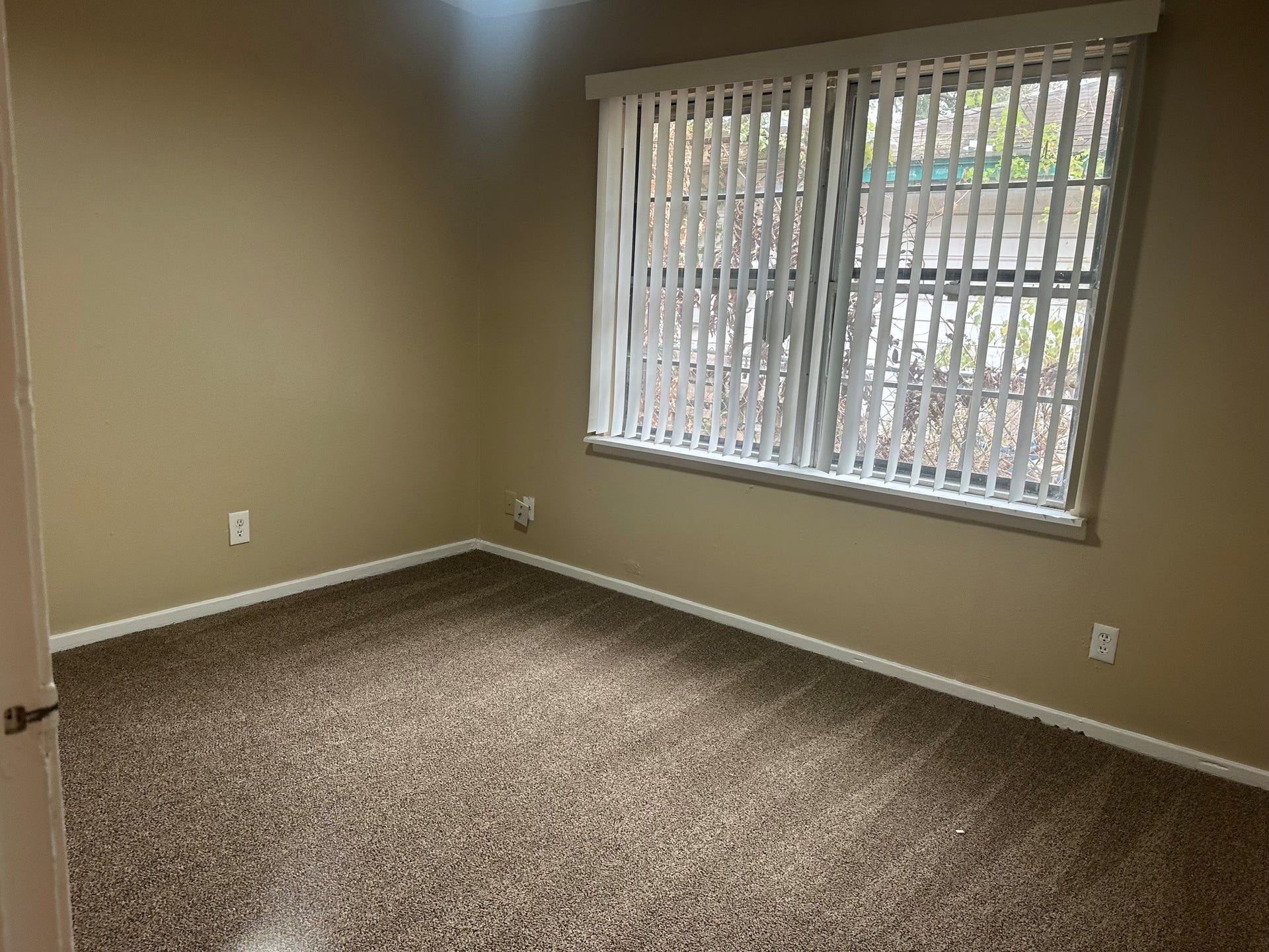 215 Cypress Street, Lake Jackson, TX 77566 215 Cypress Street, Lake Jackson, TX 77566