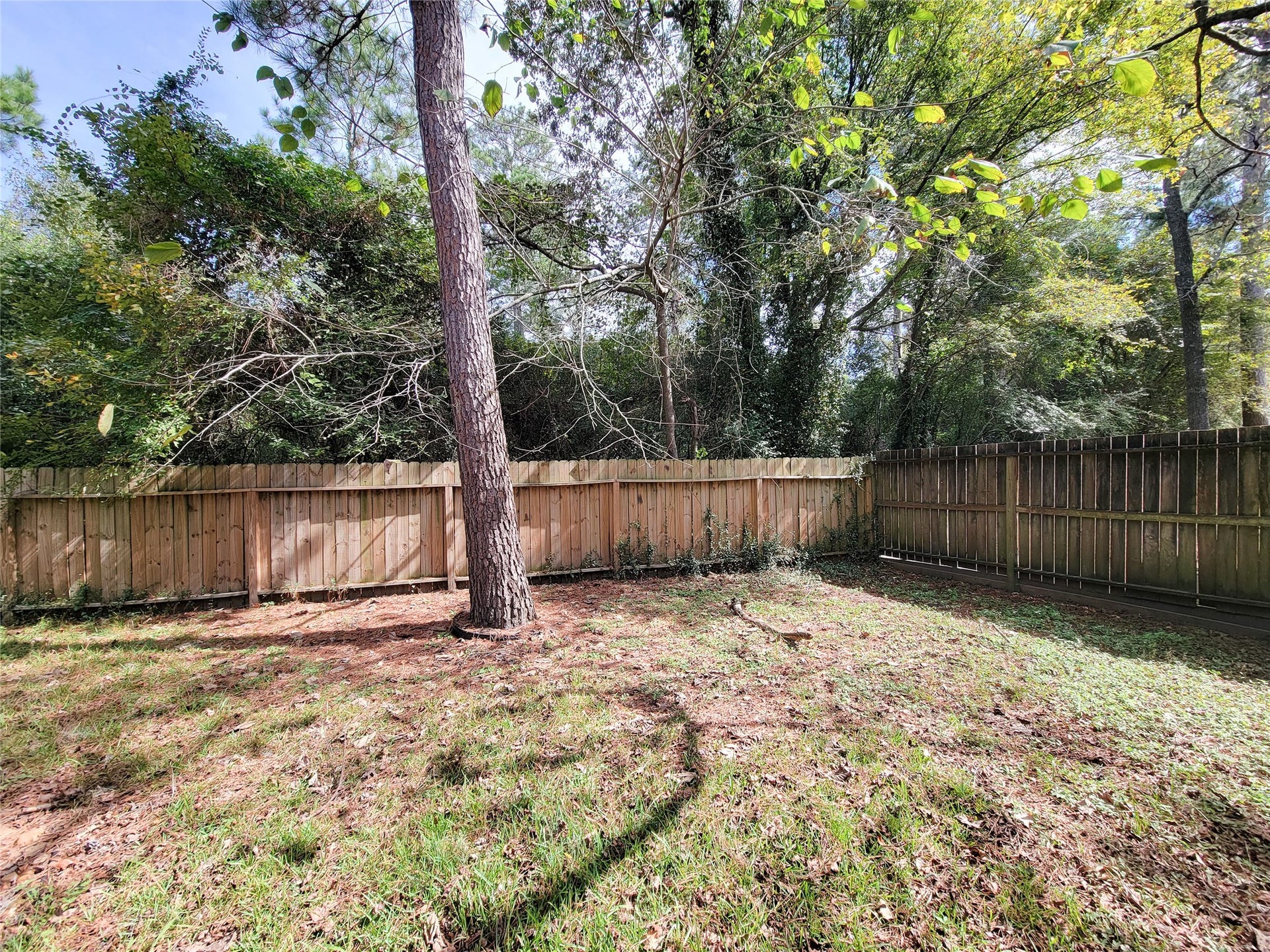 80 Fallenstone Drive, The Woodlands, TX 77381 Spacious backyard with lush greenery, tall trees, and a sturdy wooden fence, perfect for privacy and outdoor enjoyment.