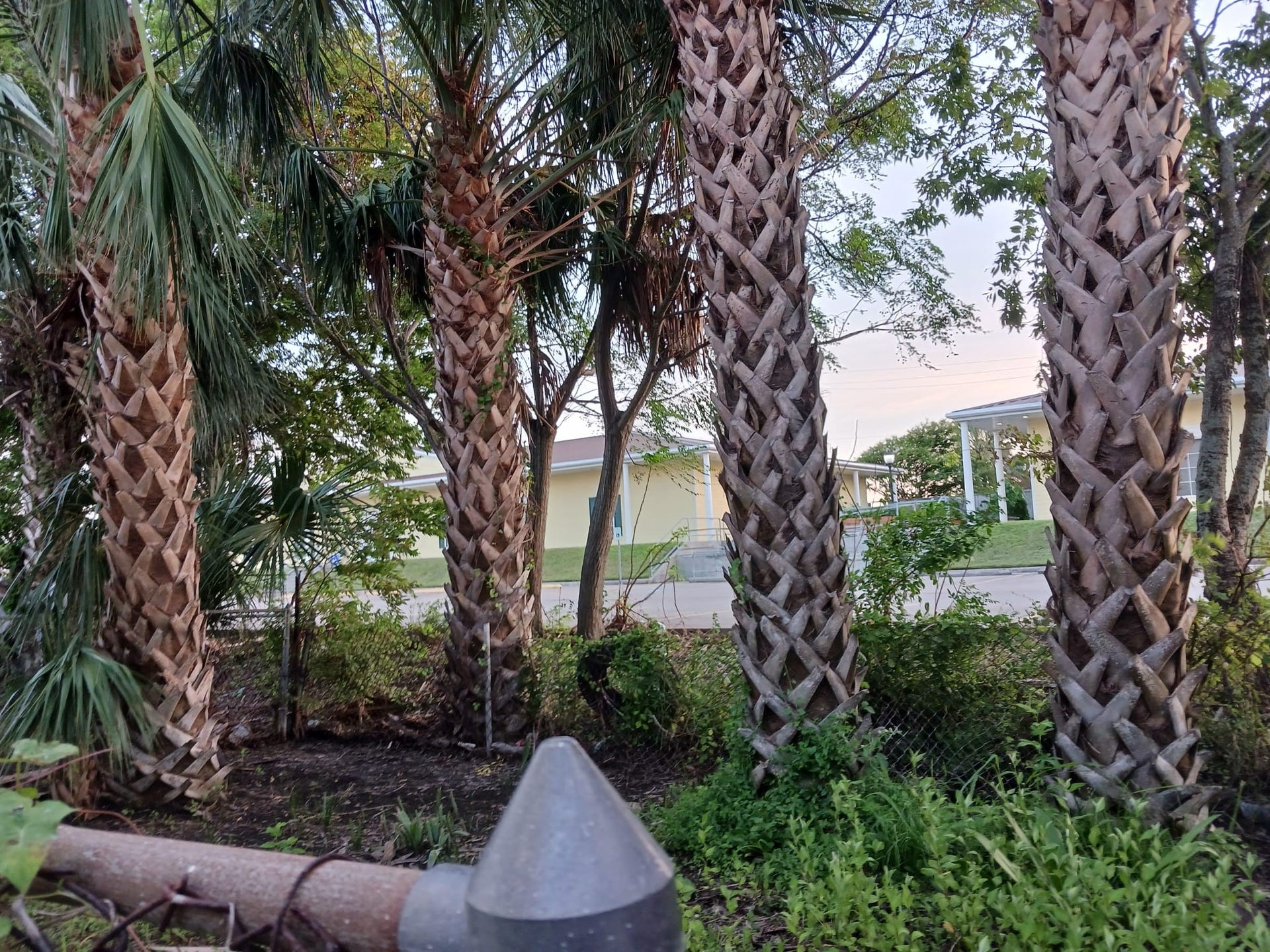 2313 67th Street, Galveston, TX 77551 2313 67th Street, Galveston, TX 77551