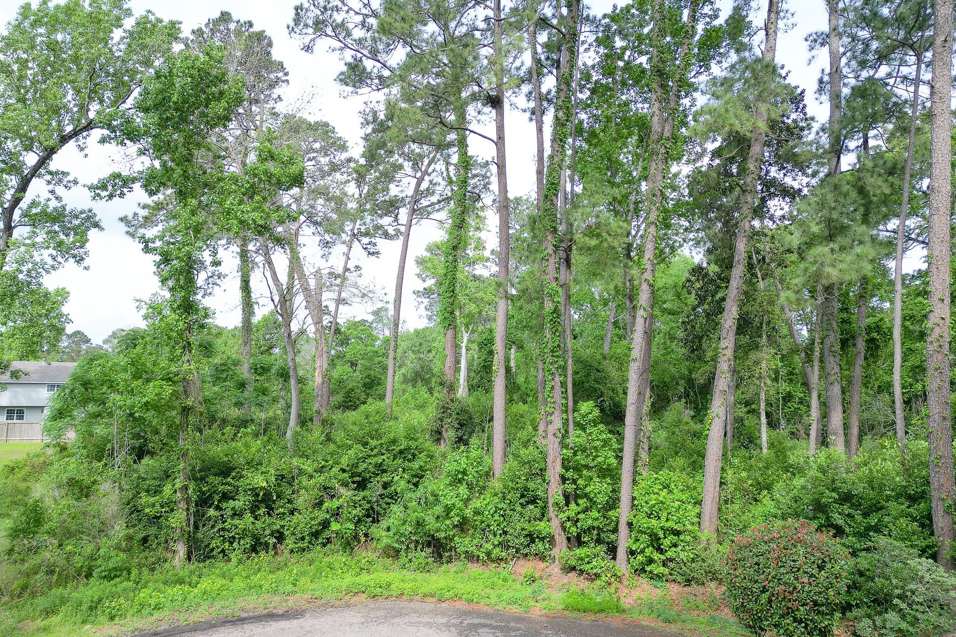 0 Roanoke Drive, Conroe, TX 77302 0 Roanoke Drive, Conroe, TX 77302