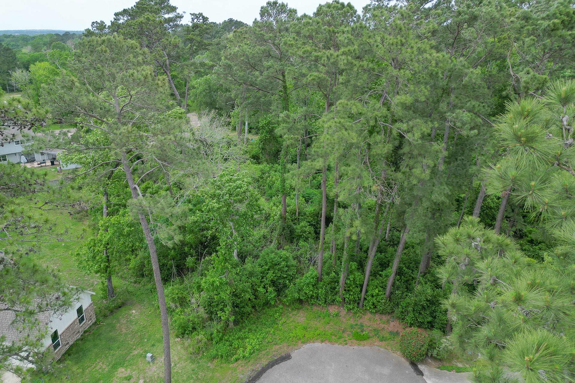 0 Roanoke Drive, Conroe, TX 77302 0 Roanoke Drive, Conroe, TX 77302