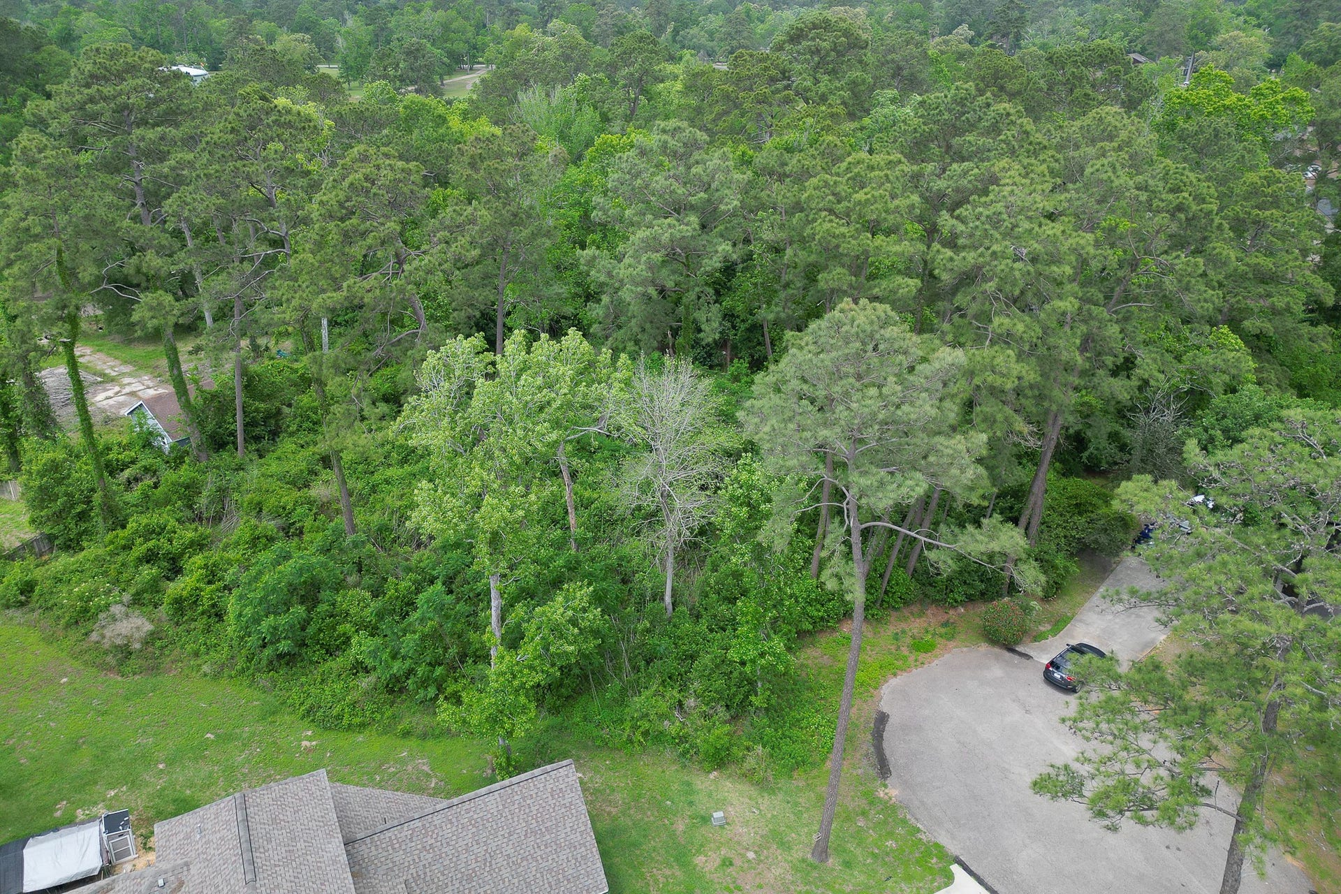 0 Roanoke Drive, Conroe, TX 77302 0 Roanoke Drive, Conroe, TX 77302