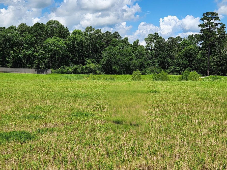 Property photo for 12855 Bentwood Farms Trace, Montgomery, TX