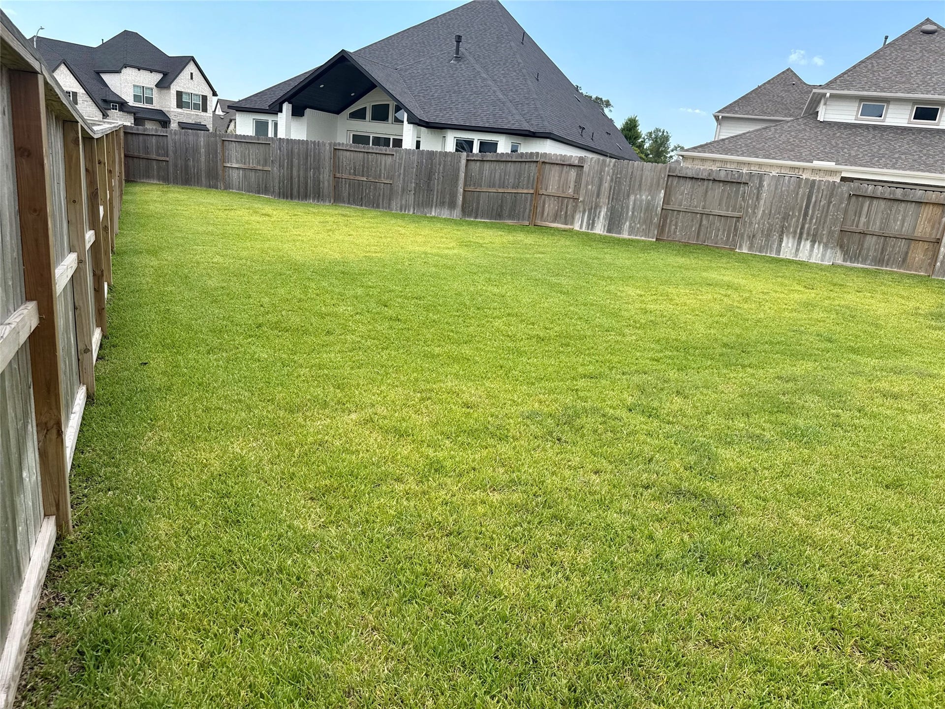 9911 Deep Water Drive, Missouri City, TX 77459 Expansive, well-maintained backyard with lush green grass, perfect for outdoor activities and entertaining, and a pool enclosed by a sturdy wooden fence for privacy.