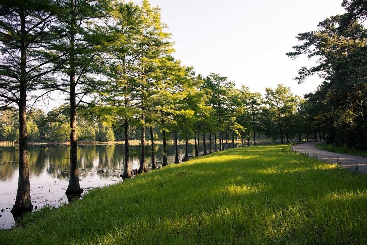 1147 Beals Creek Street, Conroe, TX 77304 Reconnect with nature along miles of scenic trails that weave through preserved forests, offering a peaceful escape just steps from home.