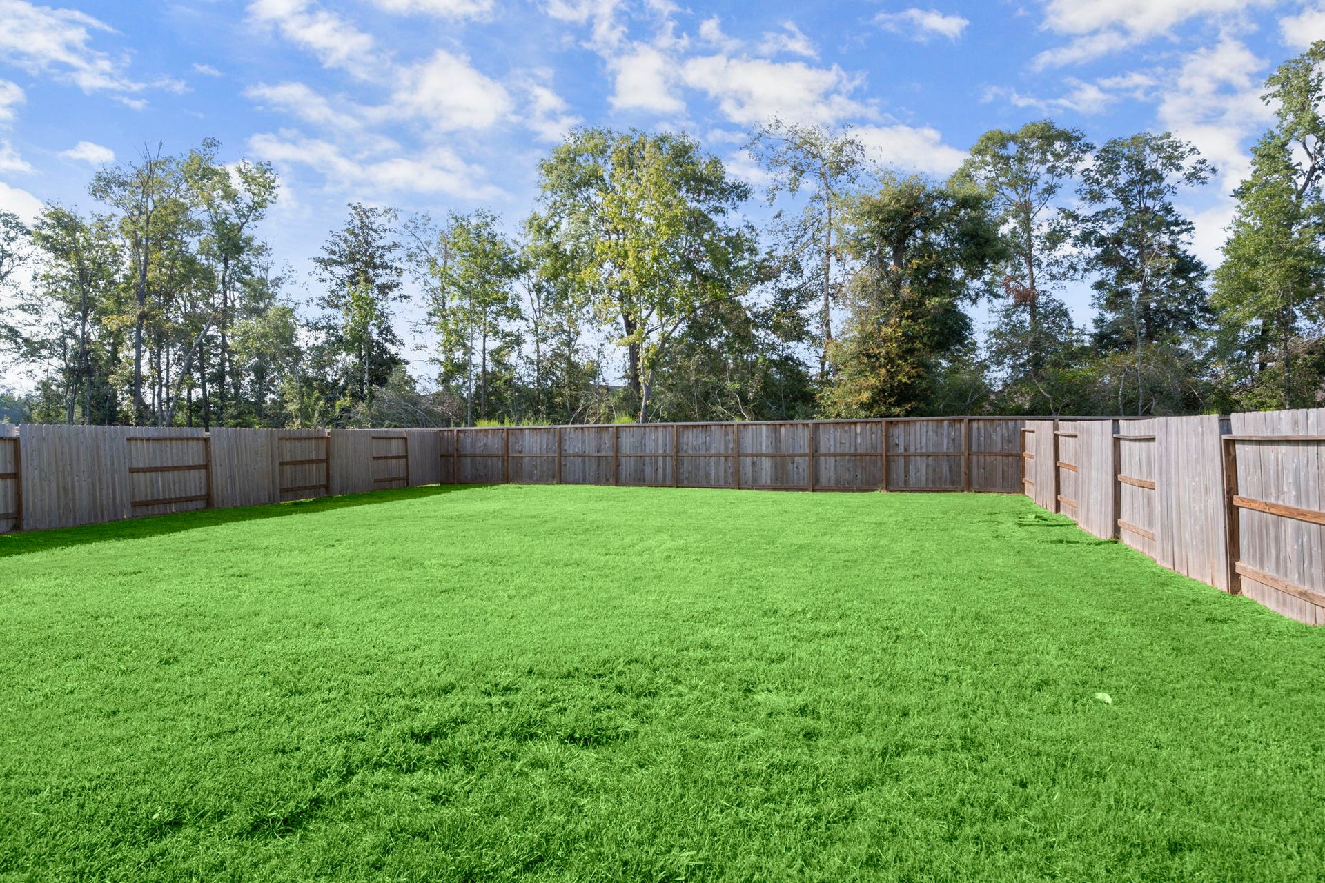 23527 Marble Pass Trace, New Caney, TX 77357 Backyard