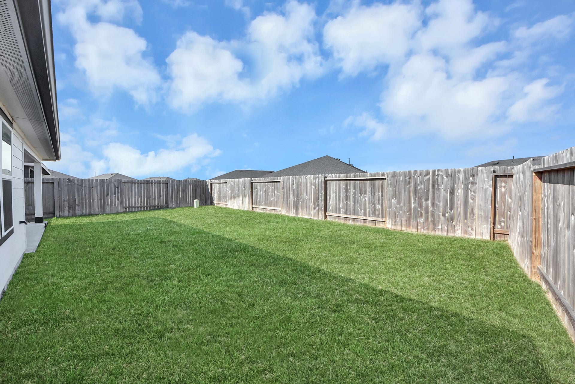 1123 Desert Willow Drive, Rosharon, TX 77583 Backyard