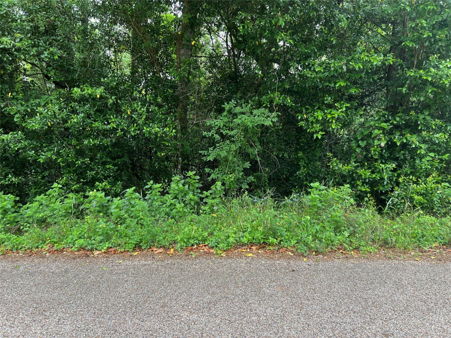 Property photo for 0 ROLLINGWOOD LOOP, Conroe, TX