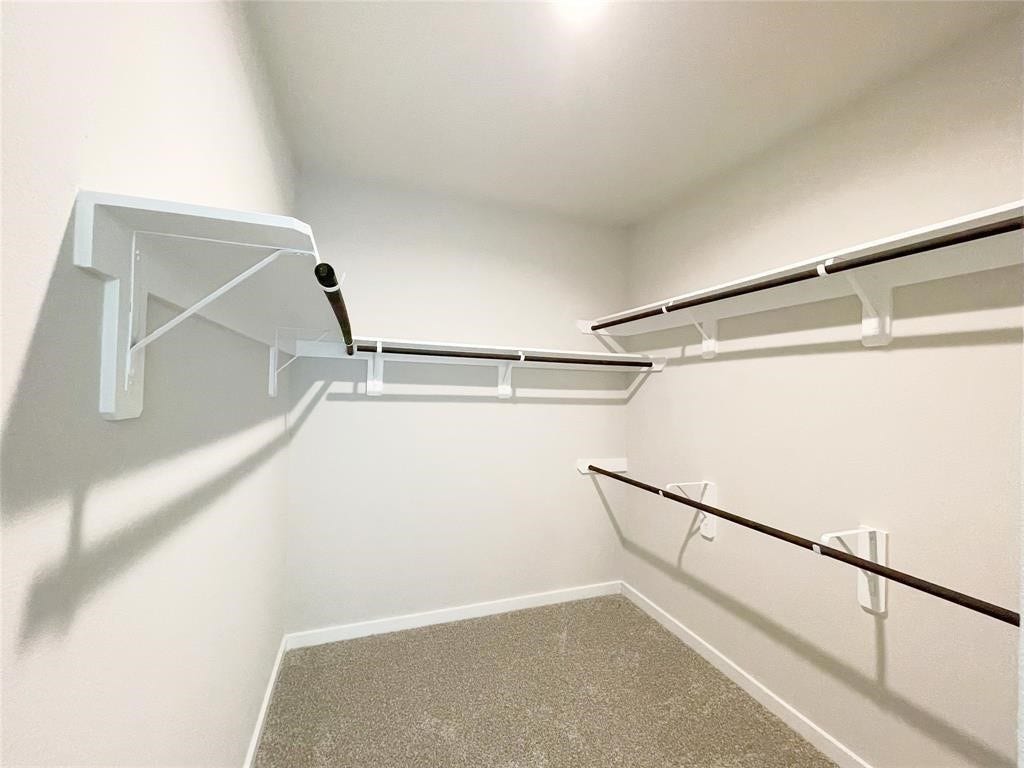 28219 Hazel Trail, Katy, TX 77494 28219 Hazel Trail, Katy, TX 77494