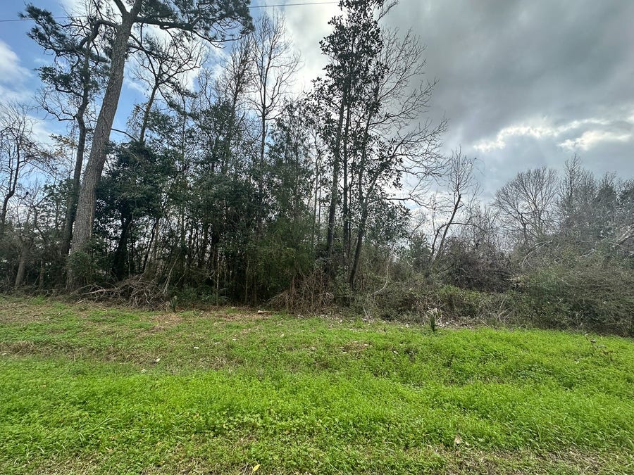 Property photo for 0 Redbud Drive, Conroe, TX