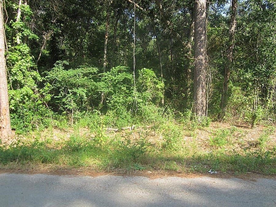 Property photo for 31127 Primrose Lane, Magnolia, TX