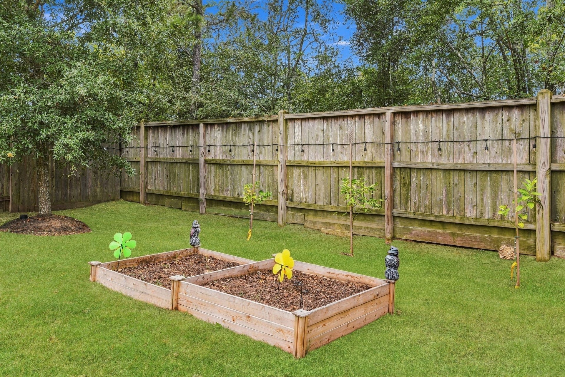 11371 Dawn Beach Lane, Conroe, TX 77304 A charming backyard features raised garden beds, perfect for cultivating your own plants, set against a backdrop of a wooden privacy fence and surrounded by lush greenery.