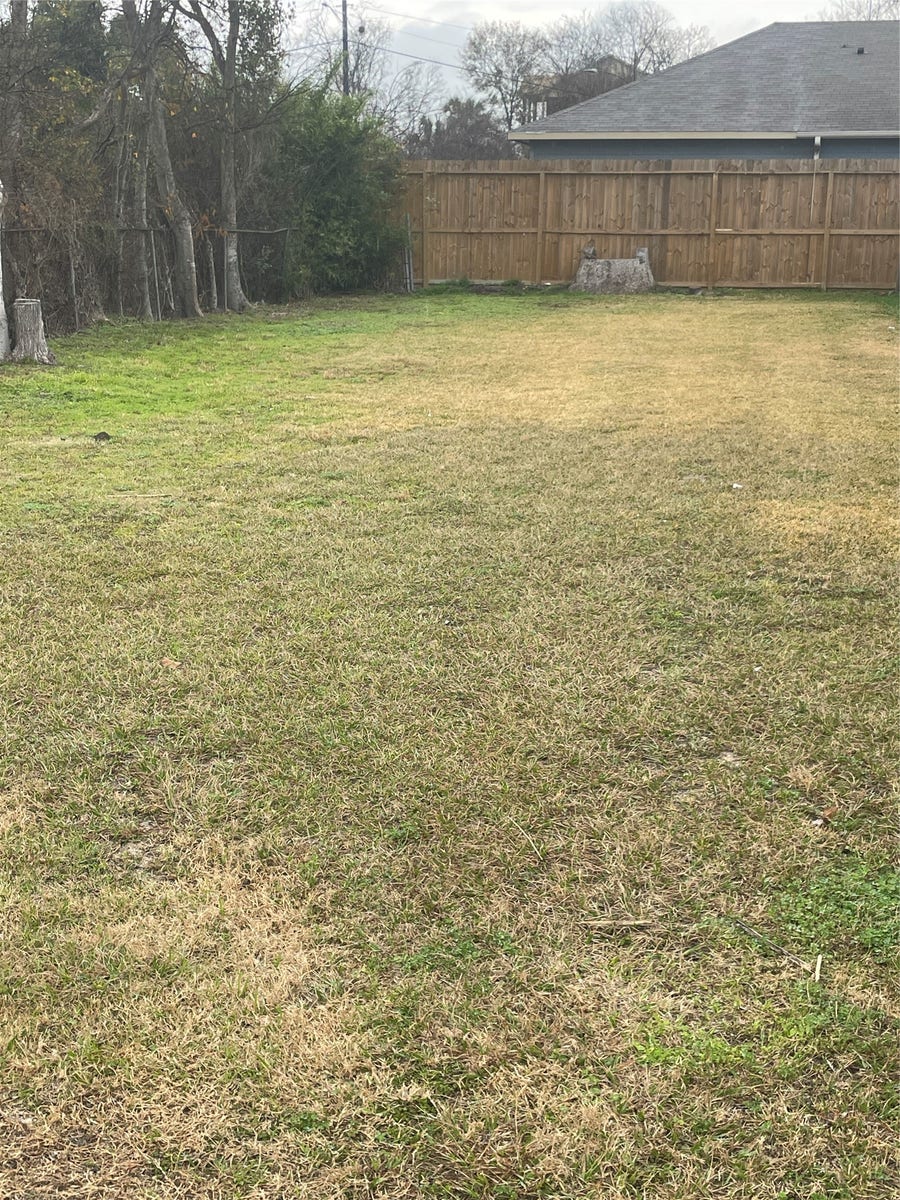Property photo for 4205 Gunter Street, Houston, TX