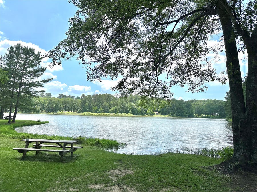 Property photo for 5291 Crockett Road, Willis, TX