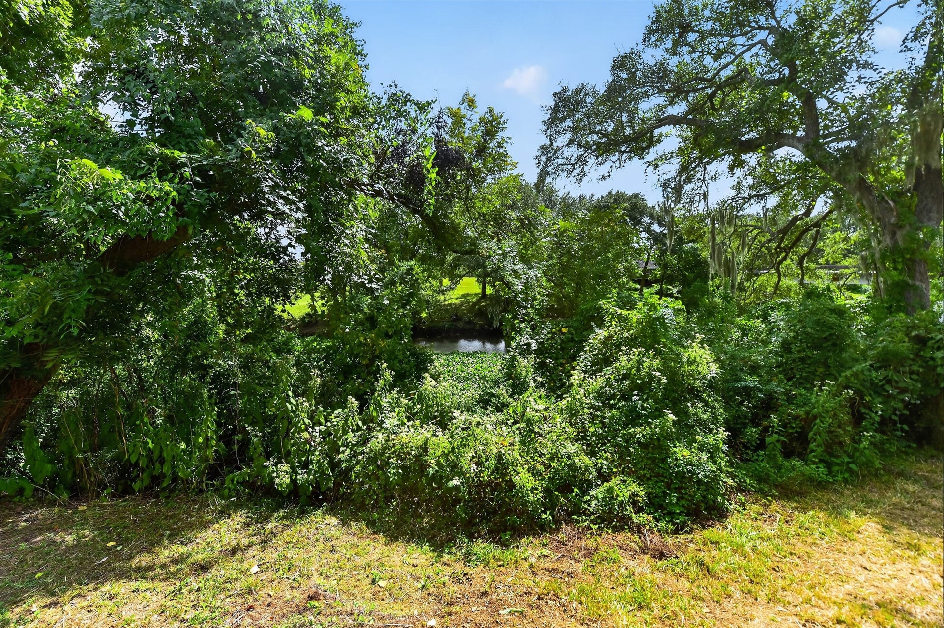 105 Blue Jay Drive, Richwood, TX 77566 Oyster Creek