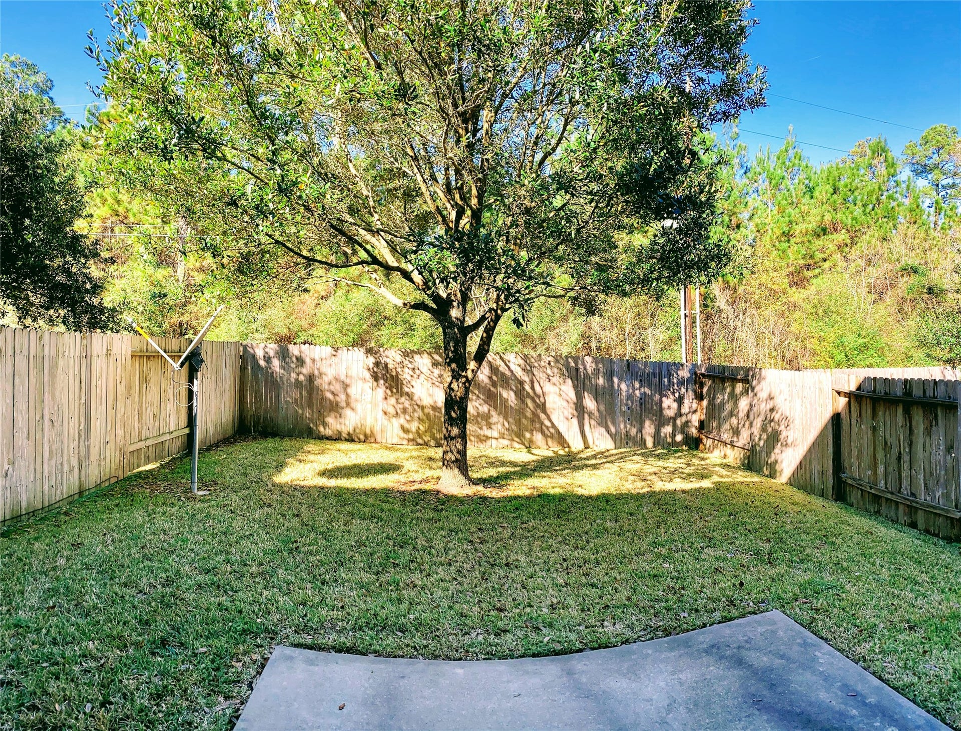 317 Woodland HIlls Drive, #B, Conroe, TX 77303 This is not actual backyard but similar.