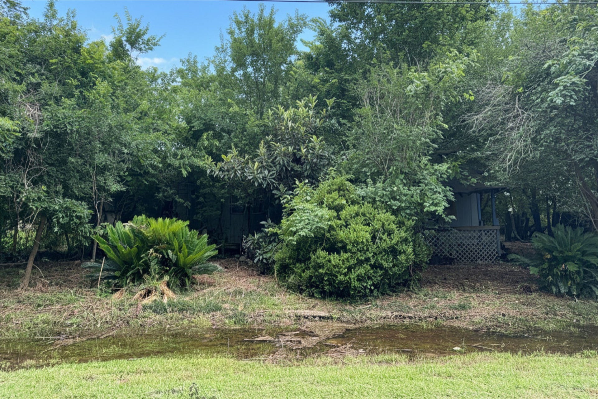 8937 Spruce Street, Hitchcock, TX 77563 8937 Spruce Street, Hitchcock, TX 77563