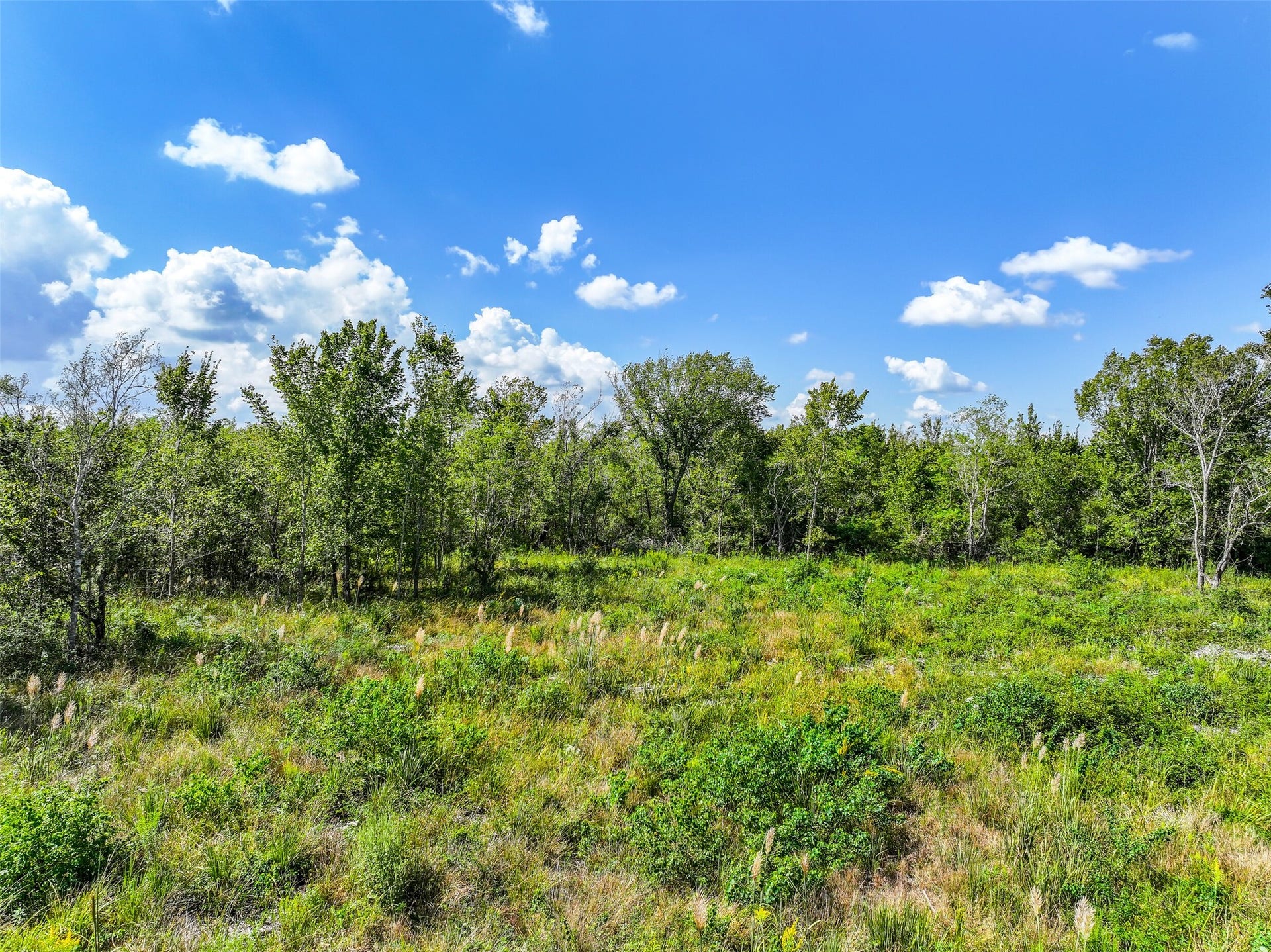 0 Highway 35, Liverpool, TX 77577 0 Highway 35, Liverpool, TX 77577