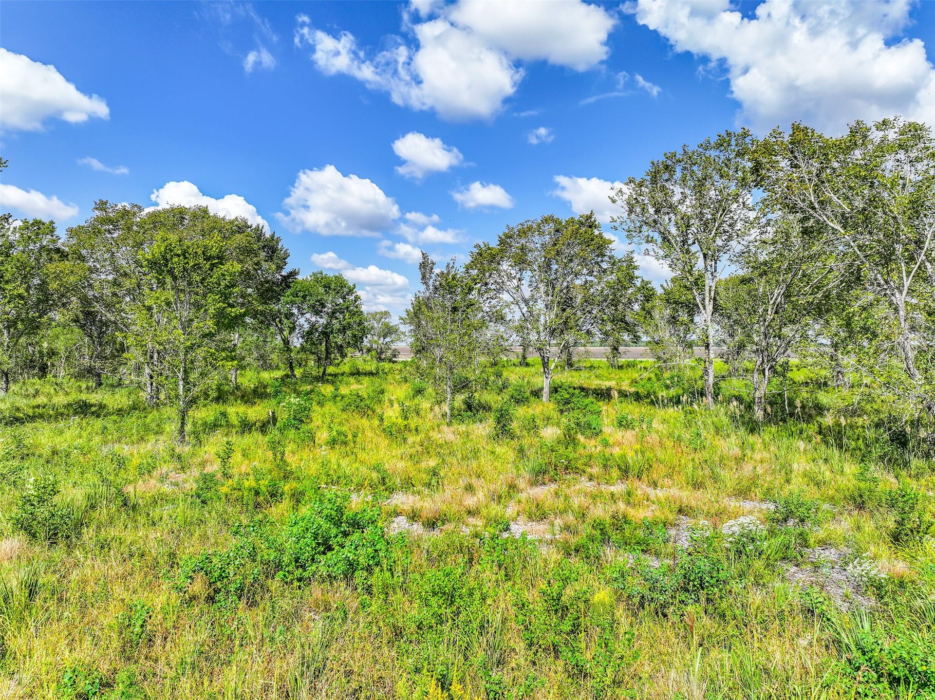 0 Highway 35, Liverpool, TX 77577 0 Highway 35, Liverpool, TX 77577