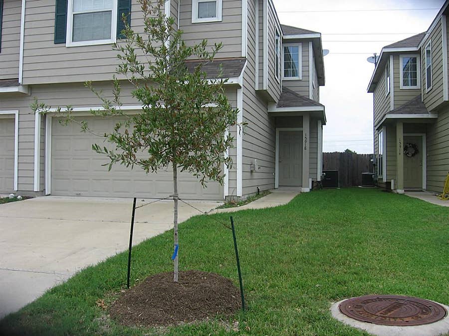 Property photo for 15918 Langhamwood Lane, Houston, TX