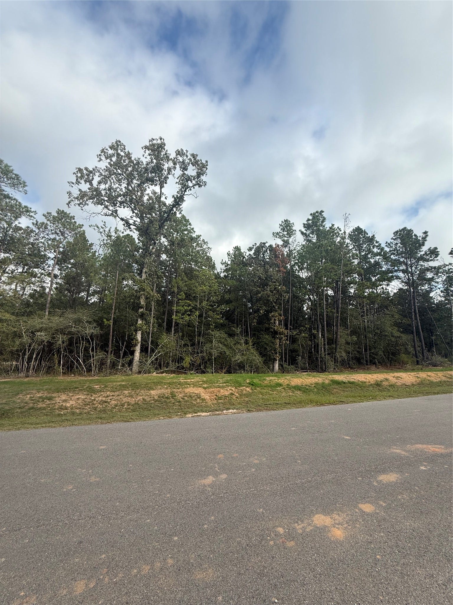 4511 Marfa Court, Montgomery, TX 77316 4511 Marfa Court, Montgomery, TX 77316