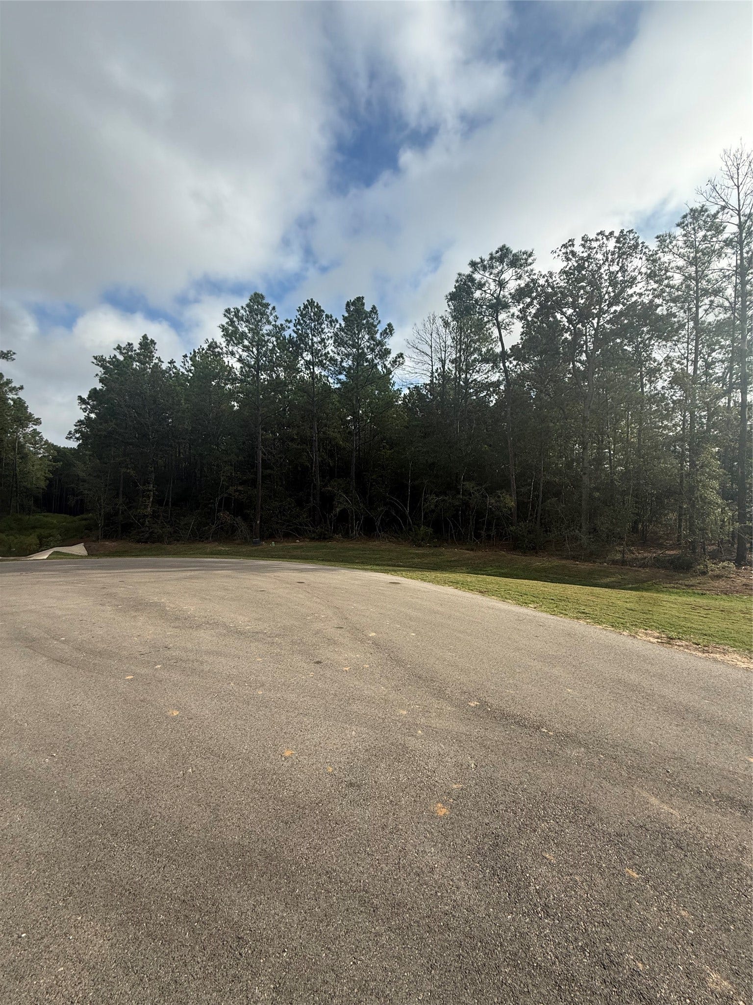 4511 Marfa Court, Montgomery, TX 77316 4511 Marfa Court, Montgomery, TX 77316