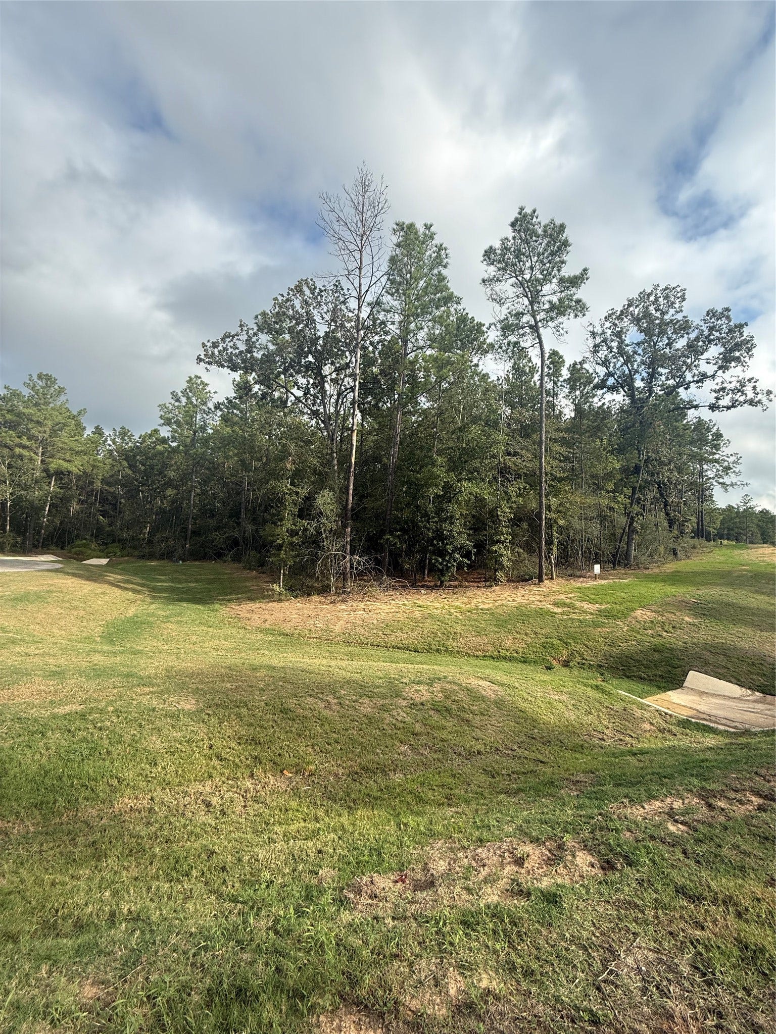 4511 Marfa Court, Montgomery, TX 77316 4511 Marfa Court, Montgomery, TX 77316