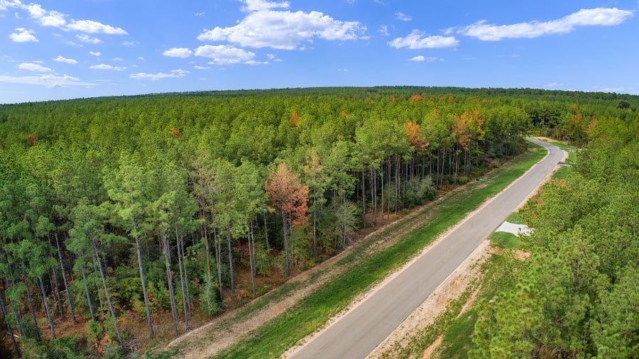 Property photo for 10886 Ruger Road, Willis, TX