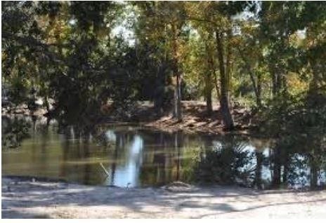 8914 Sunny Point Drive, Spring, TX 77379 Take a hike with family and friends through the park!