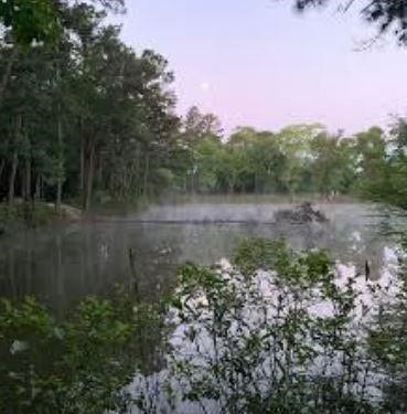 8914 Sunny Point Drive, Spring, TX 77379 Enjoy the sunsets over the water!