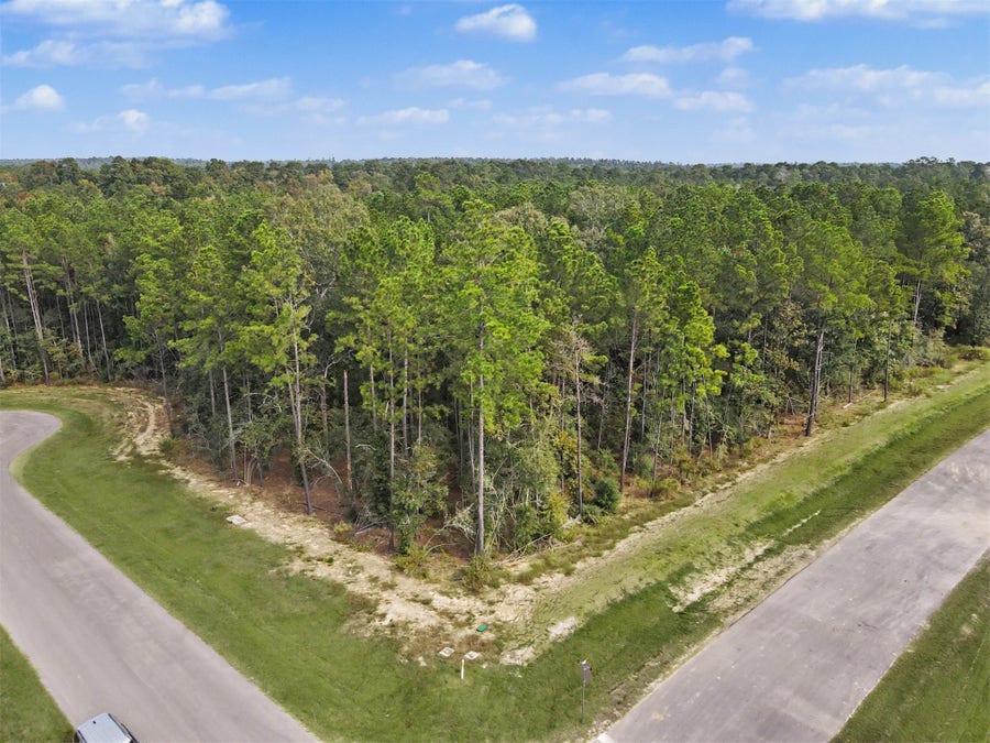Property photo for 25210 Chisos Bend, Montgomery, TX