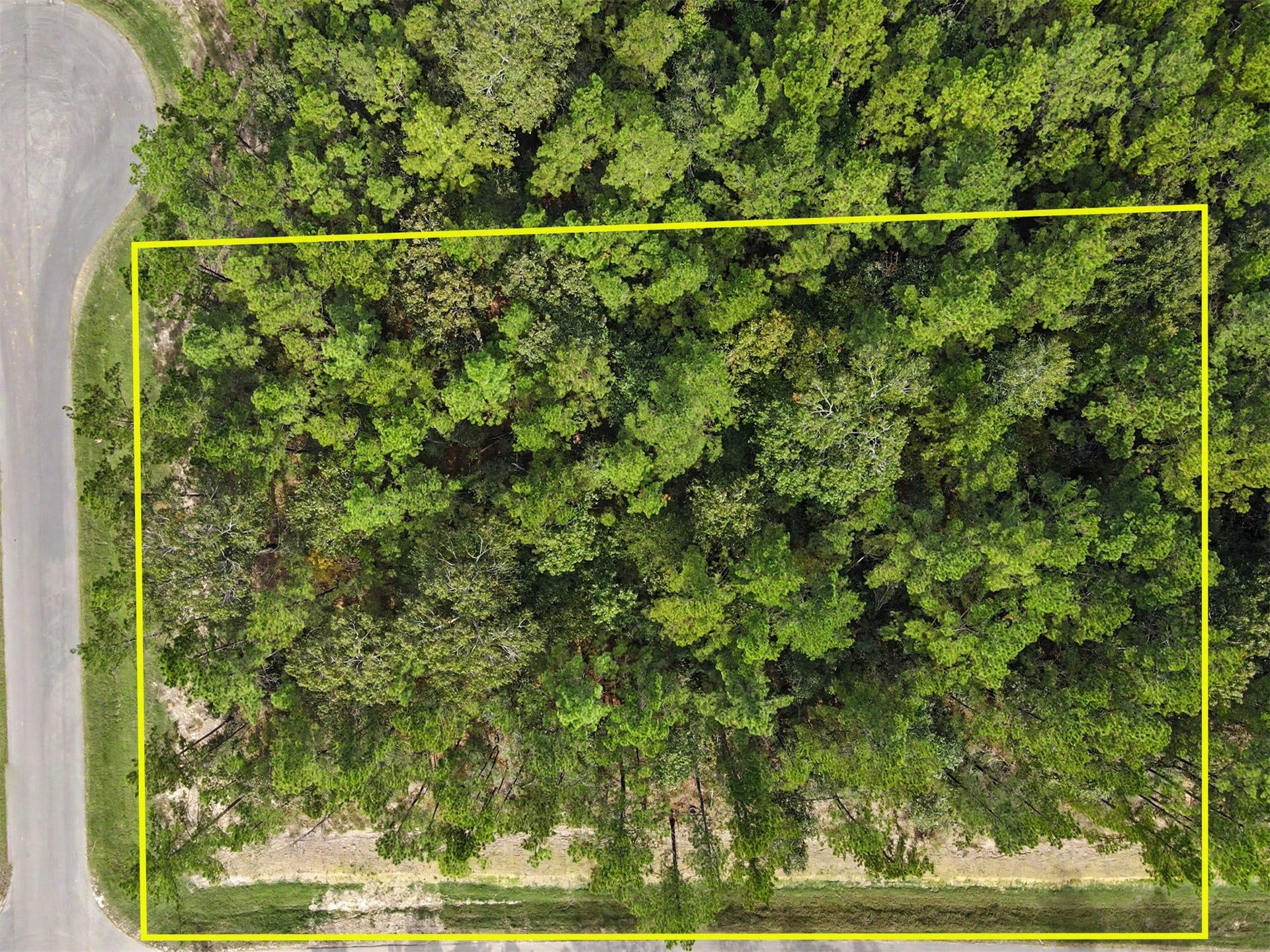 Great shape and a highly sought after fully wooded corner lot on two cul-de-sac streets.