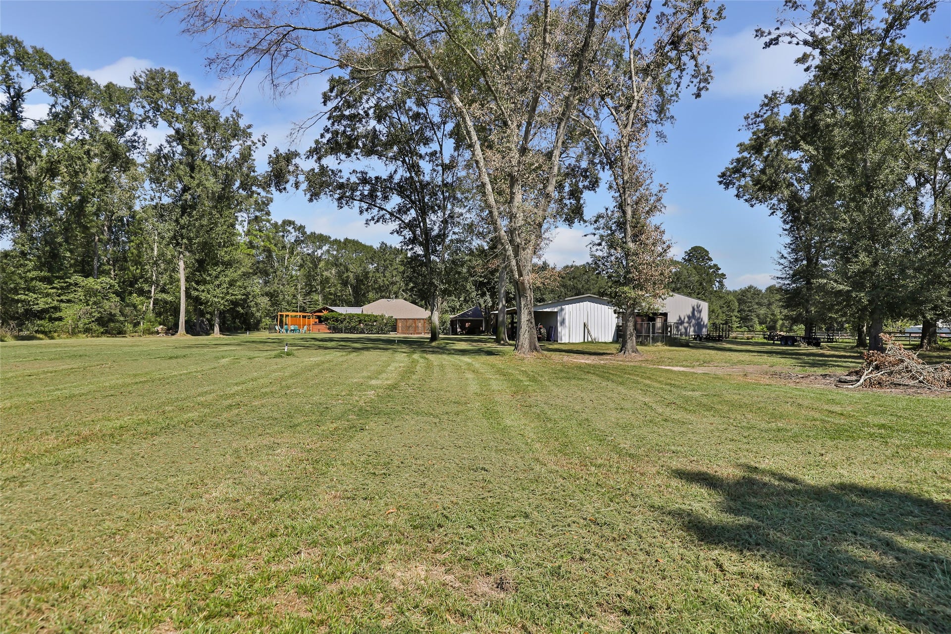 25107 Goodson Road, Splendora, TX 77372 Expansive green lawn with mature trees and a spacious backyard, perfect for outdoor activities and relaxation.
