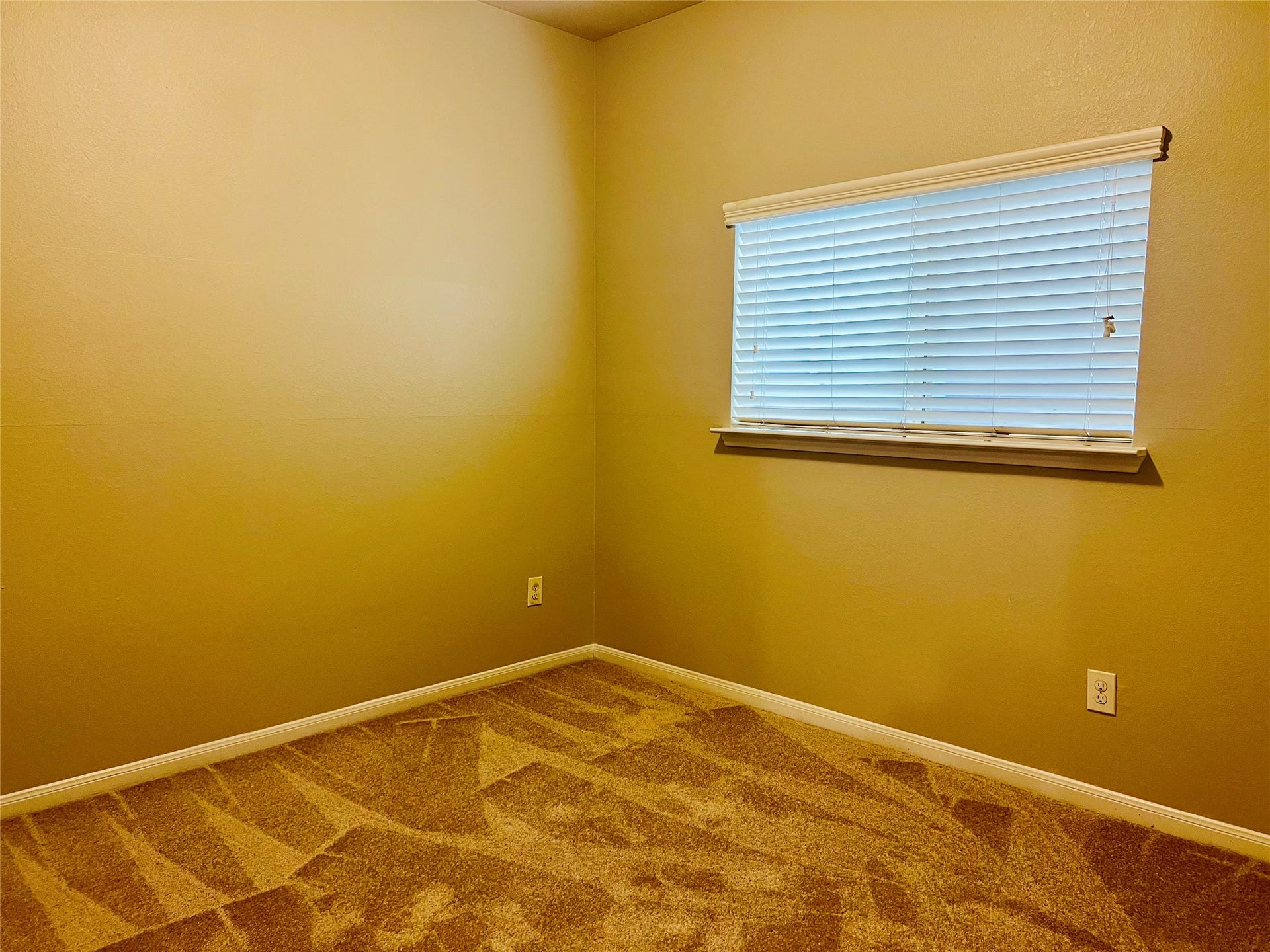 1721 Claremont Garden Circle, Houston, TX 77047 Cozy bedroom with neutral walls, plush carpeting, and a window with blinds for natural light and privacy.