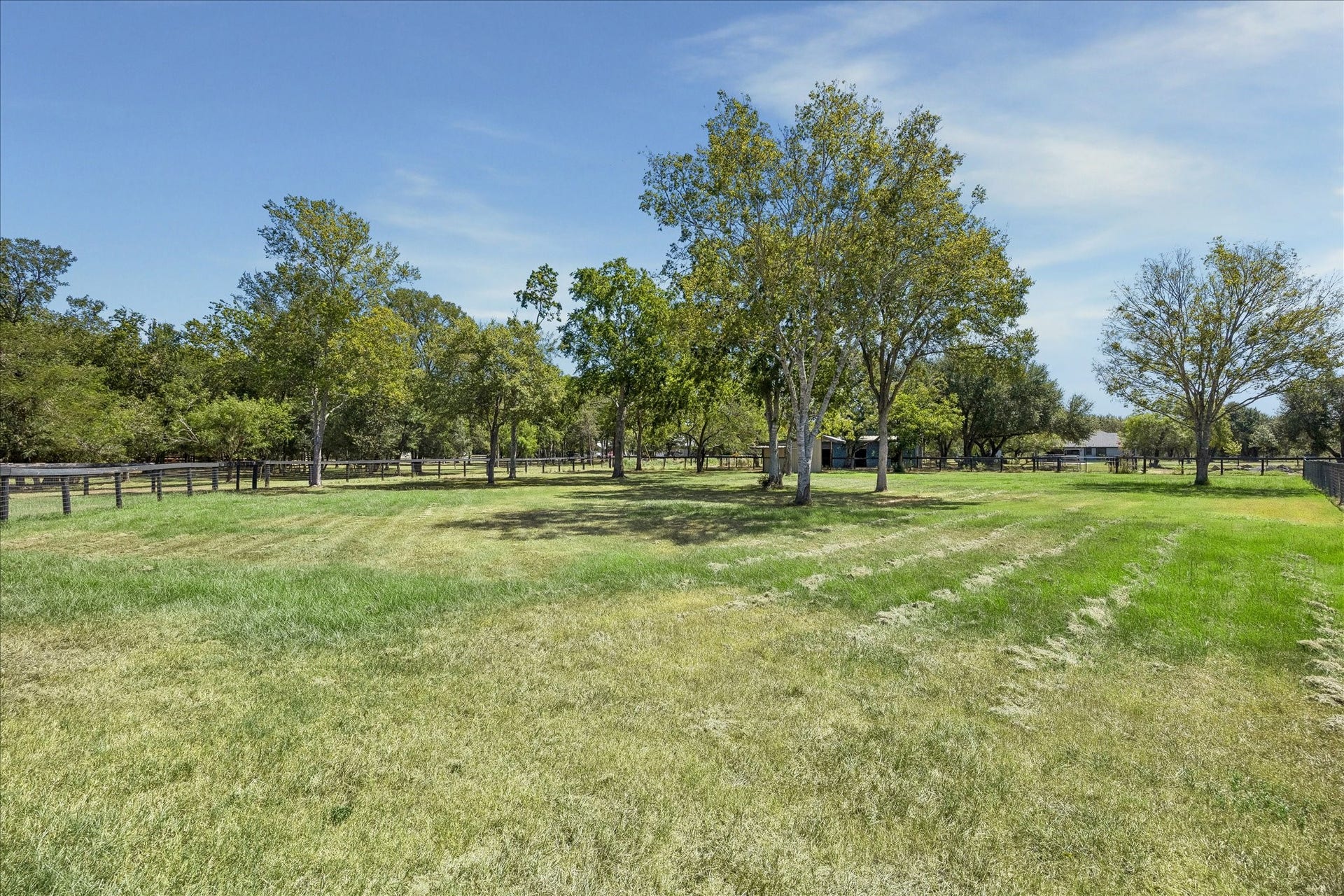 33 Riverwood Lane, Hempstead, TX 77445 View of the coral area. The 16' x 16' metal barn is behind the trees