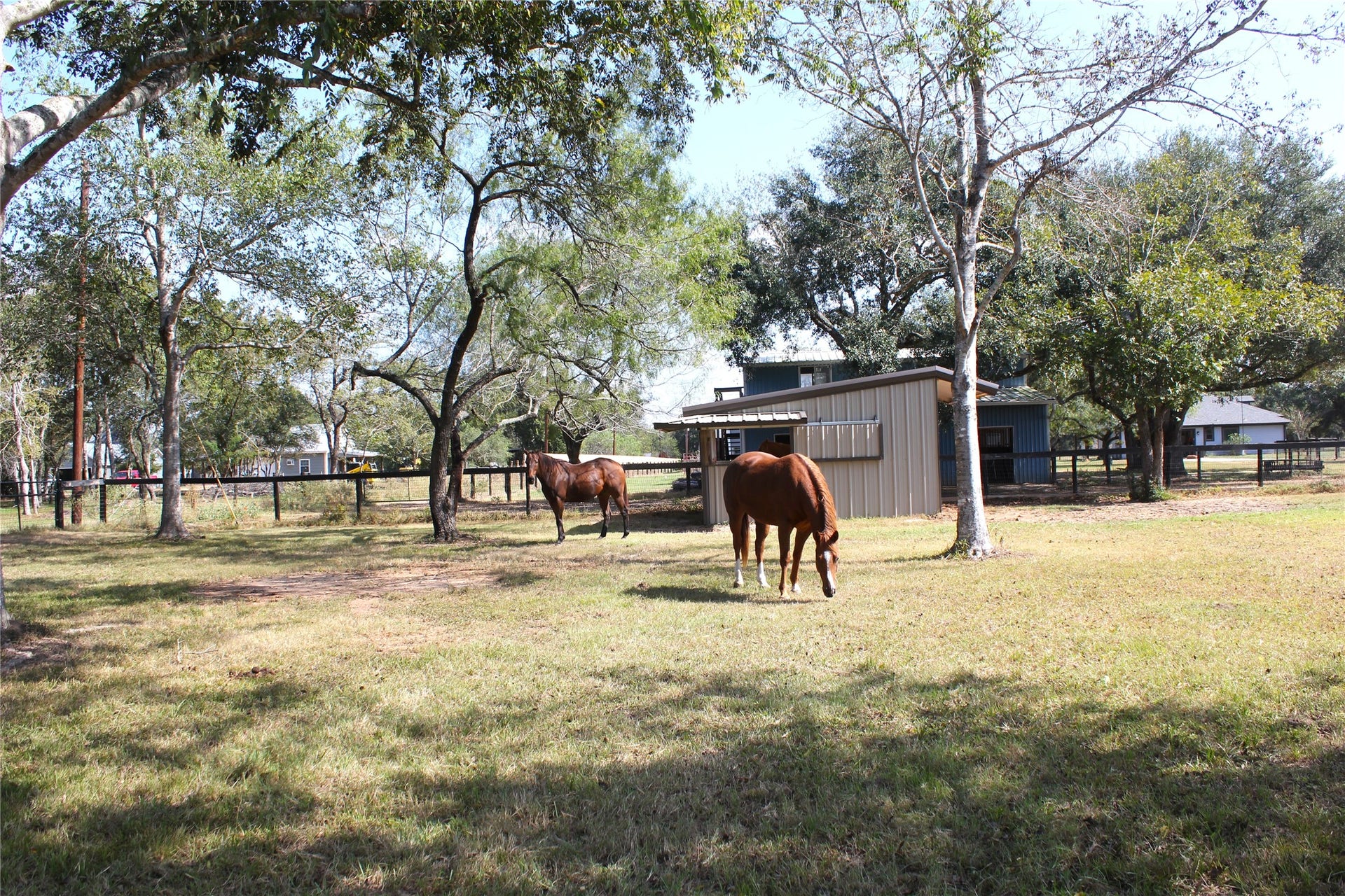33 Riverwood Lane, Hempstead, TX 77445 View of horses in the coral