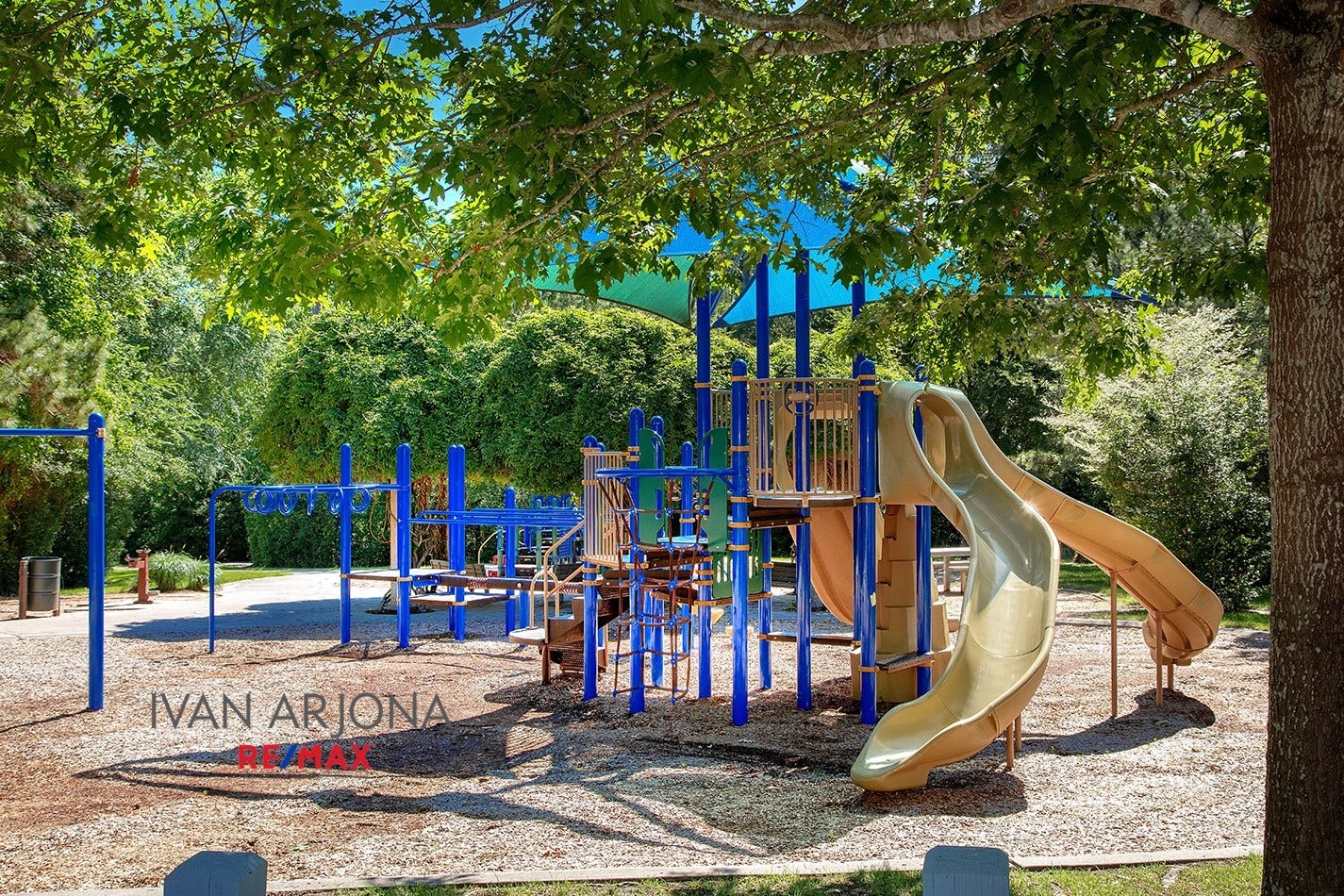 79 FRENCH OAKS, The Woodlands, TX 77382 Cranebrook Park and Pool