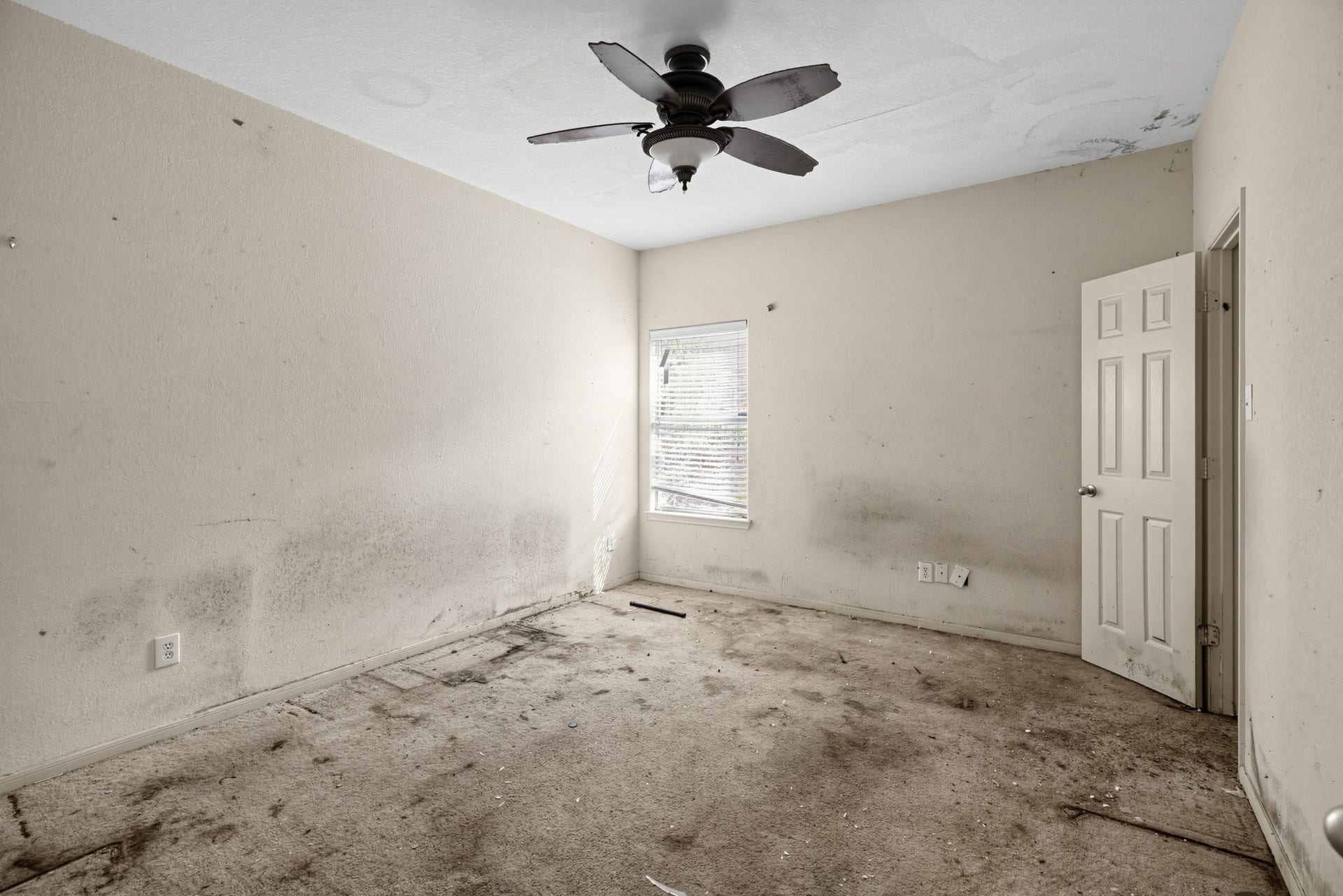 24407 Cornell Park Lane, Katy, TX 77494
