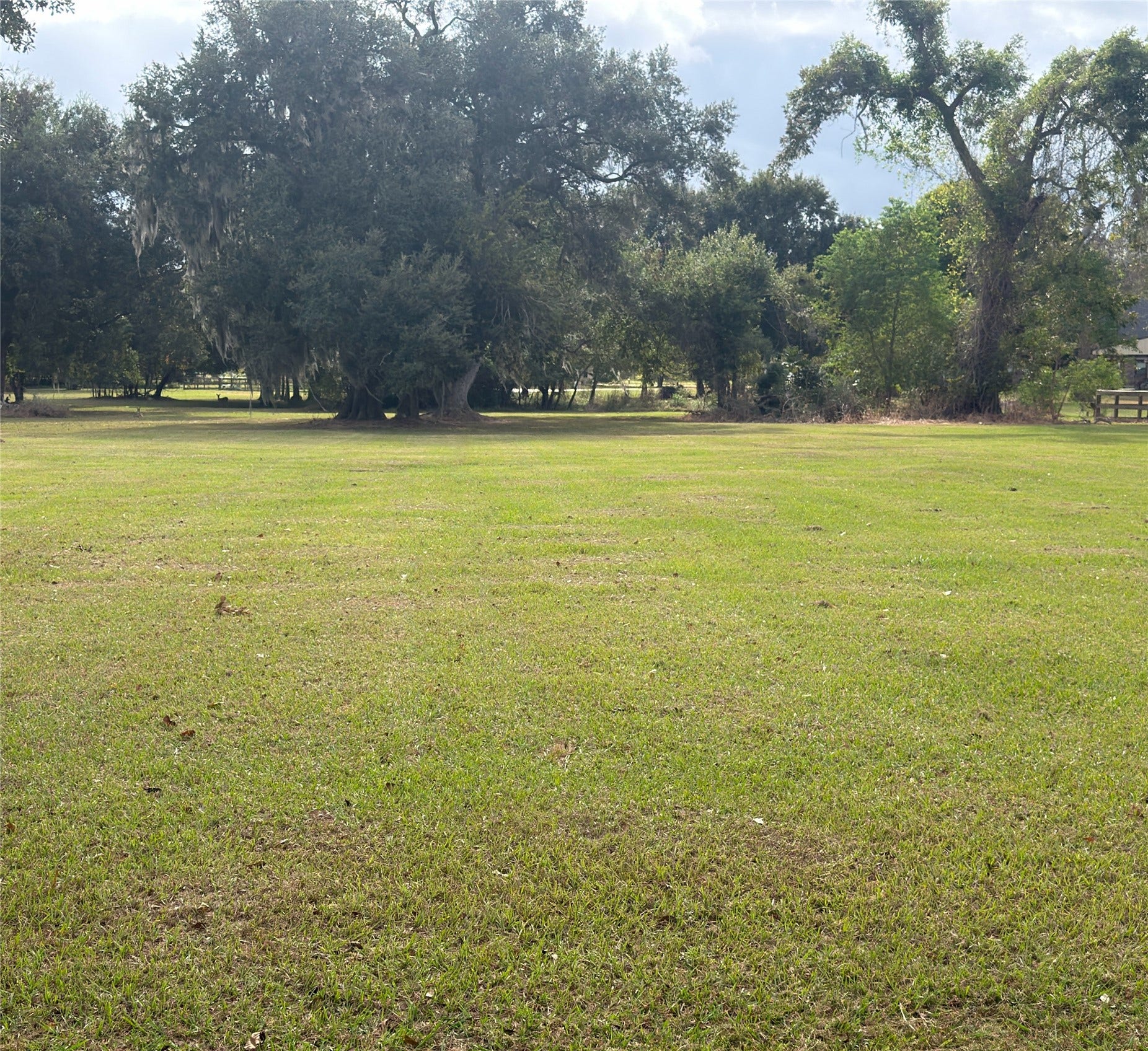 220 Stagecoach Trail, Angleton, TX 77515
