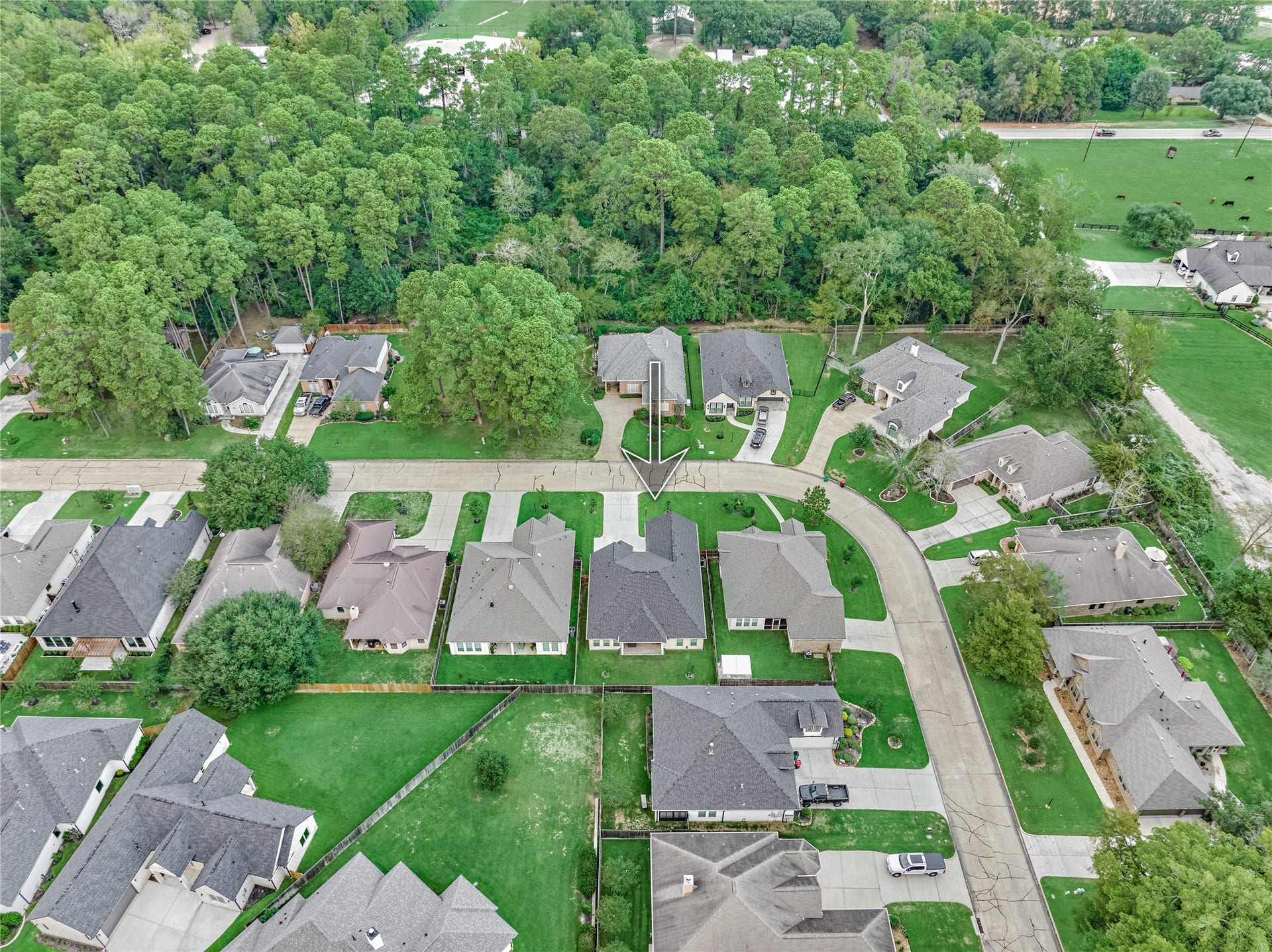 154 Wyndemere Drive, Montgomery, TX 77356 154 Wyndemere Drive, Montgomery, TX 77356