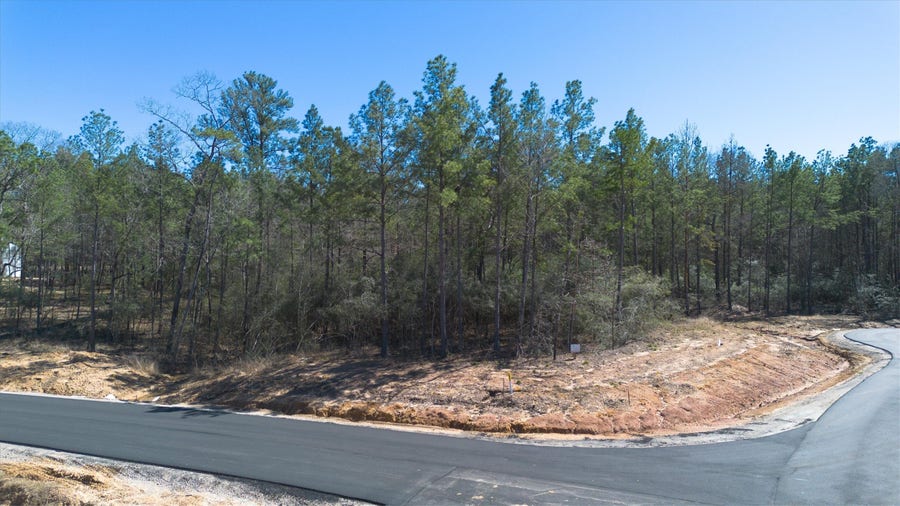 Property photo for 4521 Marfa Court, Montgomery, TX