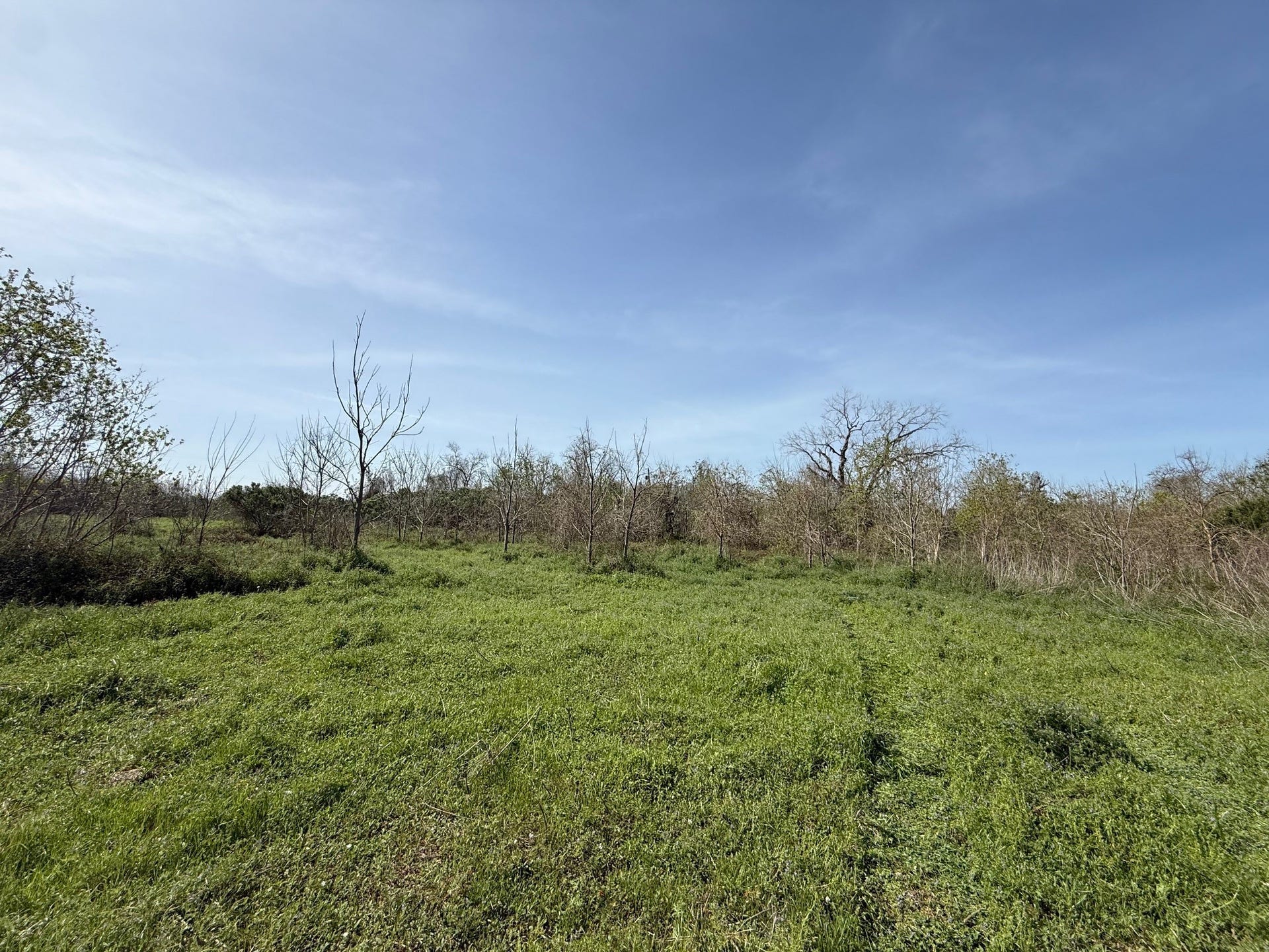 0 County Road 613, Angleton, TX 77515 0 County Road 613, Angleton, TX 77515