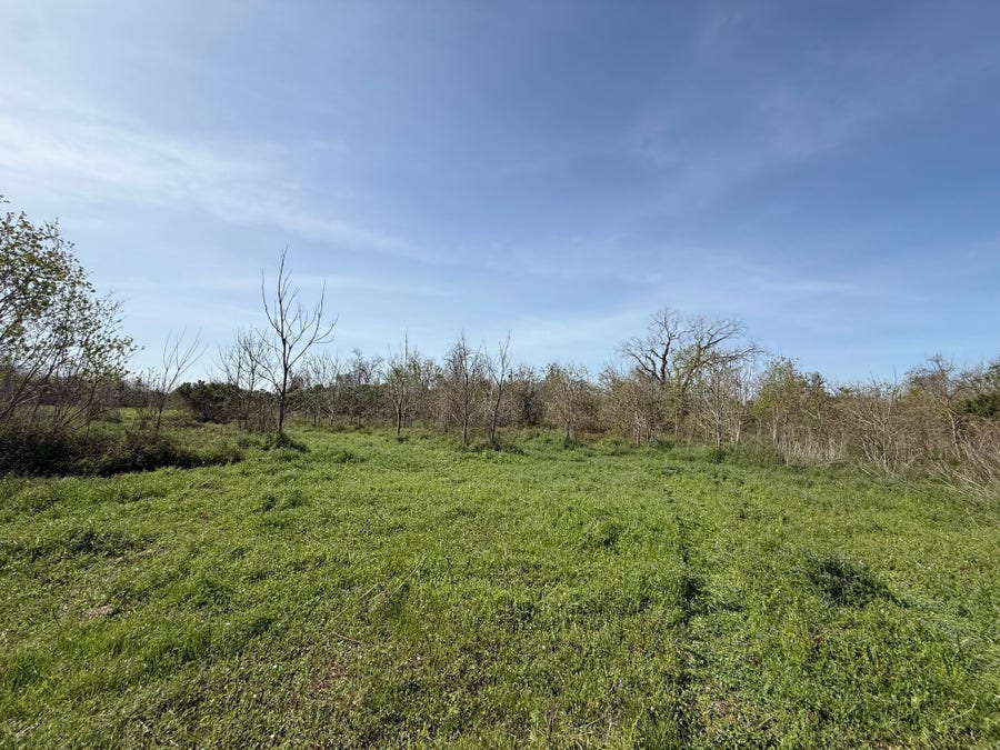 Property photo for 0 County Road 613, Angleton, TX